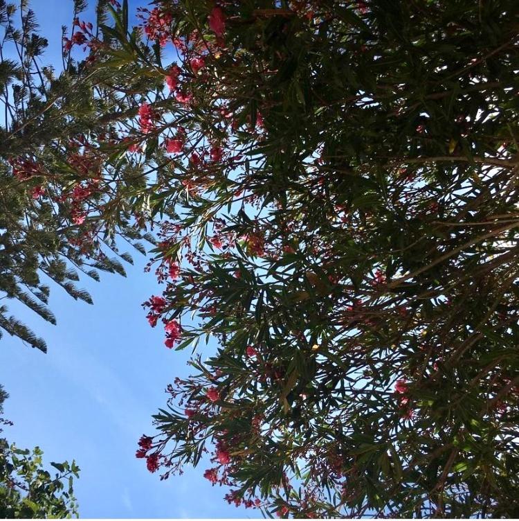 Giardino Dell'Impossibile Di Antonino Campo Apartment ฟาวีญานา ภายนอก รูปภาพ